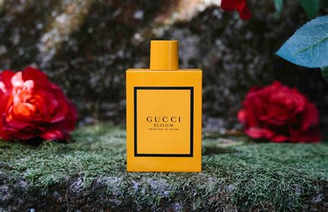 profumo g di gucci uomo|gucci bloom fragrance.